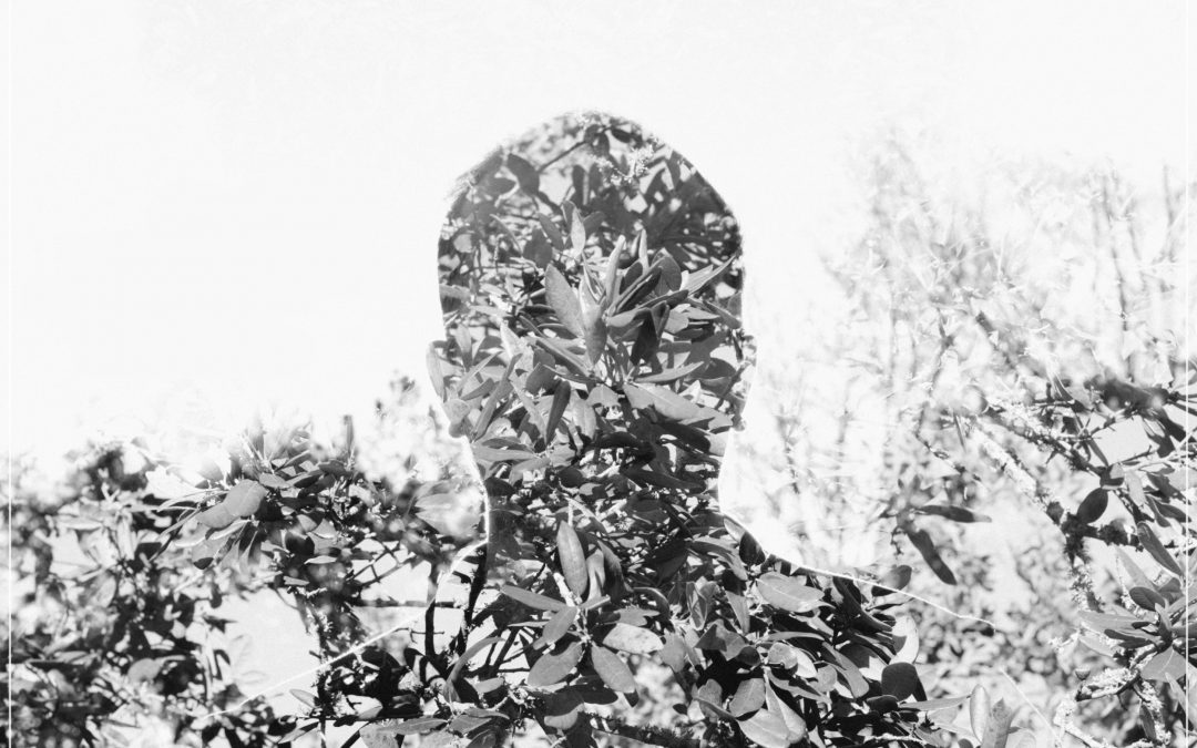 Reimagining Dostoevsky I